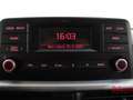 Kia Picanto Picanto 1.0 12V 5 porte Urban Bianco - thumbnail 12