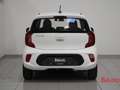 Kia Picanto Picanto 1.0 12V 5 porte Urban Bianco - thumbnail 4