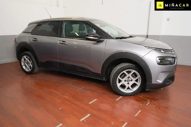 Citroen C4 Cactus view 2