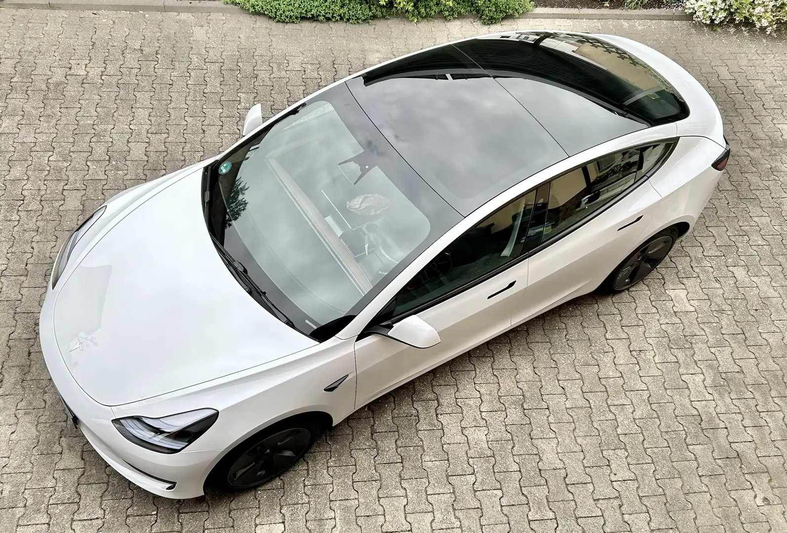 Tesla Model 3 Model+3+Standard+Reichweite+Plus+Hinterradantrieb Weiß - 1