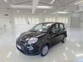 Fiat Panda 1.0 FireFly 70cv S&S Hybrid 5 PORTE - thumbnail 1