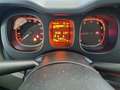 Fiat Panda 1.0 FireFly 70cv S&S Hybrid 5 PORTE - thumbnail 8