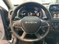 Dacia Spring Essential Schwarz - thumbnail 17