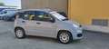 Fiat Panda 1.0 70 CV FIREFLY SES HYBRID -KM. 22.000 - 4 POSTI Gris - thumbnail 7