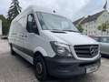 Mercedes-Benz Sprinter " II. Hand -310/311/313/314/316 CDI + Kühlbox" Blanco - thumbnail 3