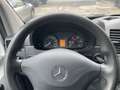 Mercedes-Benz Sprinter " II. Hand -310/311/313/314/316 CDI + Kühlbox" Blanco - thumbnail 12