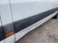 Mercedes-Benz Sprinter " II. Hand -310/311/313/314/316 CDI + Kühlbox" Blanco - thumbnail 10