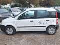 Fiat Panda 1.1 Tüv 04/2024 8-Fach bereift Motor defekt Weiß - thumbnail 4