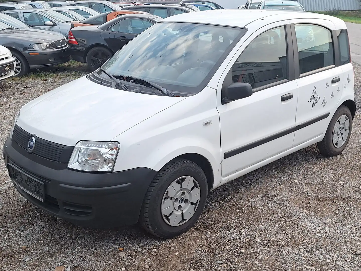 Fiat Panda 1.1 Tüv 04/2024 8-Fach bereift Motor defekt Weiß - 1