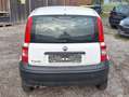 Fiat Panda 1.1 Tüv 04/2024 8-Fach bereift Motor defekt White - thumbnail 2