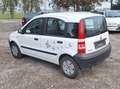 Fiat Panda 1.1 Tüv 04/2024 8-Fach bereift Motor defekt Blanc - thumbnail 6