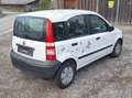 Fiat Panda 1.1 Tüv 04/2024 8-Fach bereift Motor defekt Blanco - thumbnail 7