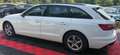 Audi A4 Avant 30 TDI basis Weiß - thumbnail 9