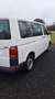 Volkswagen T6 Kombi T6 2.0 TDI 4Motion Kombi Weiß - thumbnail 5