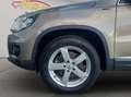 Volkswagen Tiguan Lounge Sport&Style 4Motion *Navi*Kamera* Gold - thumbnail 18