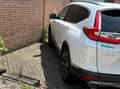 Honda CR-V CR-V 1.5T 4WD CVT Lifestyle Alb - thumbnail 3