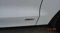 Ford Galaxy Galaxy 2,0 TDCi AWD Titanium  Powershift Weiß - thumbnail 7