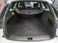 Opel Insignia B Sports Tourer 1.5 Diesel  Elegance Weiß - thumbnail 11