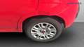 Fiat New Panda 1.0 FireFly Hybrid Easy Rosso - thumbnail 9