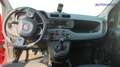 Fiat New Panda 1.0 FireFly Hybrid Easy Rosso - thumbnail 14