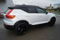 Volvo XC40 B4 Benzin 2WD Plus BlackEdit DKG/AHK/Standh Weiß - thumbnail 4
