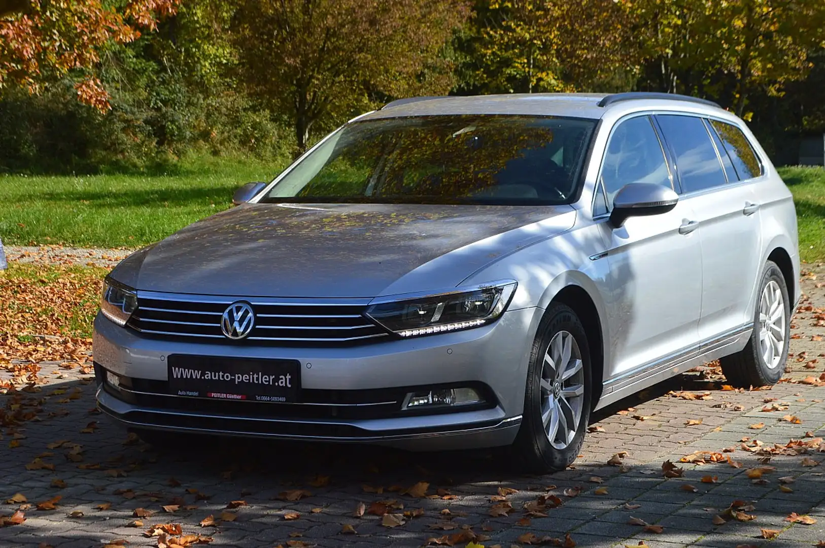 Volkswagen Passat Variant 4Motion DSG+AHK+NAV+XENON Gris - 2