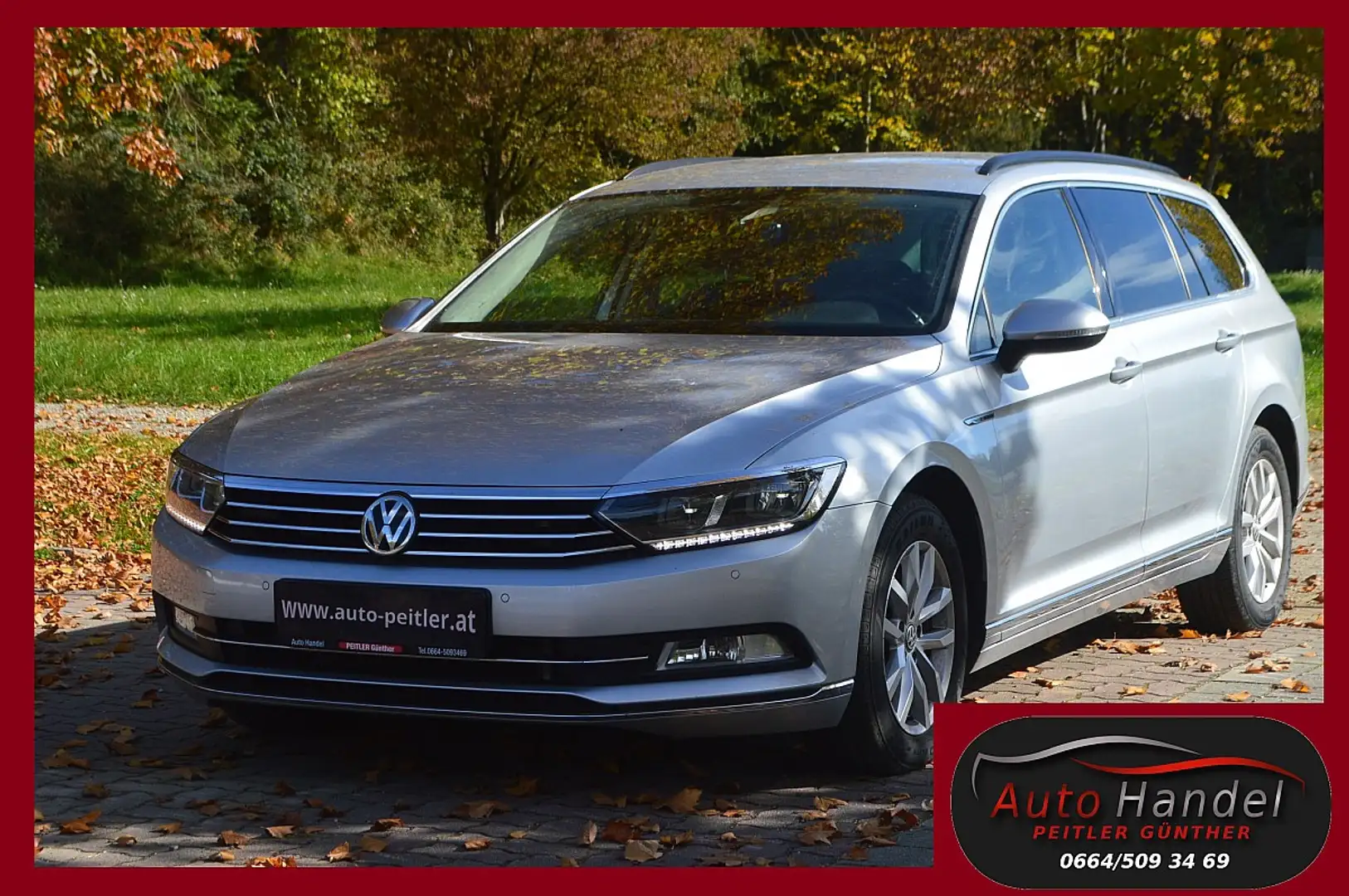 Volkswagen Passat Variant 4Motion DSG+AHK+NAV+XENON Gris - 1