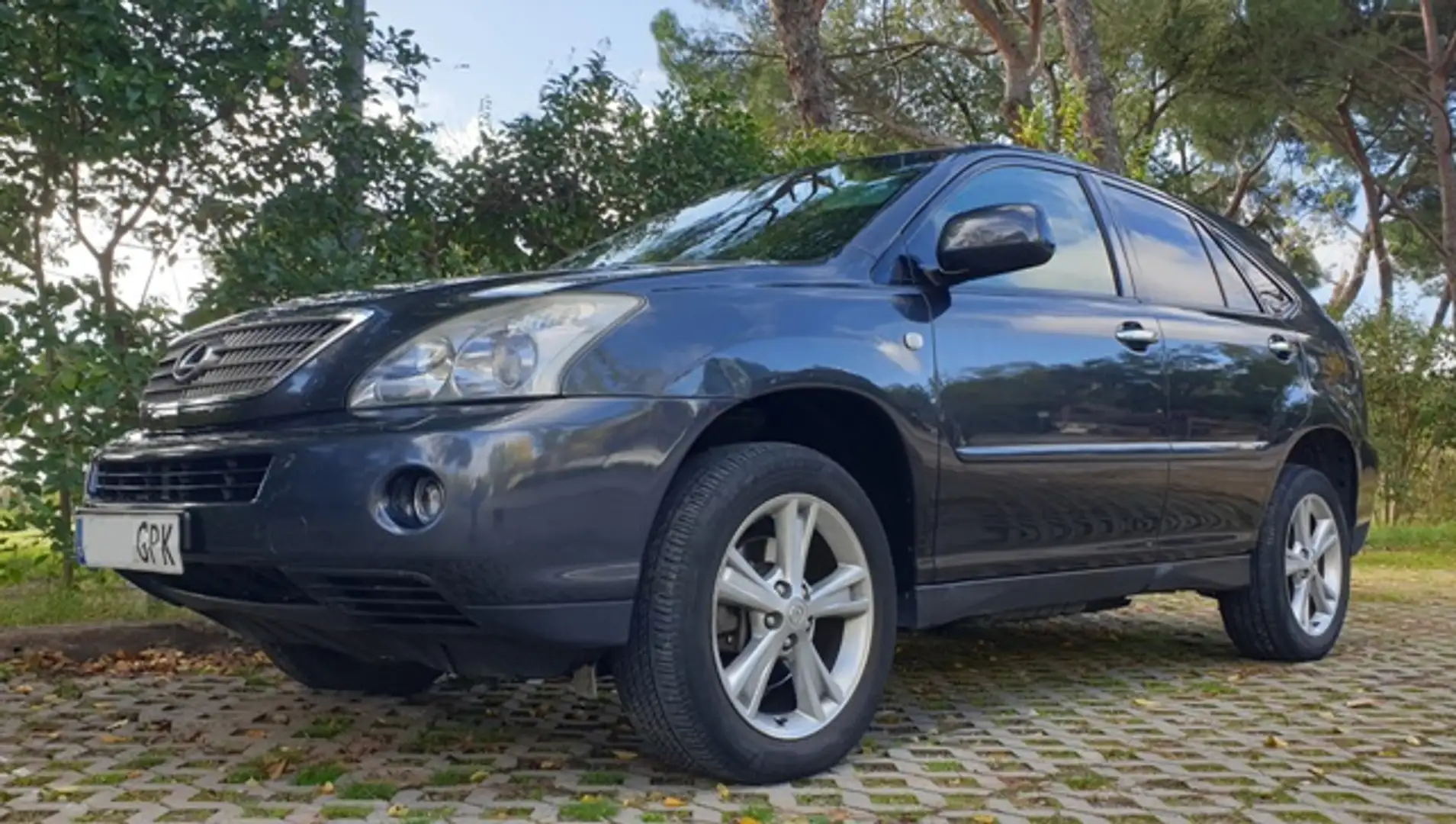 Lexus RX 400 400h President Modrá - 2
