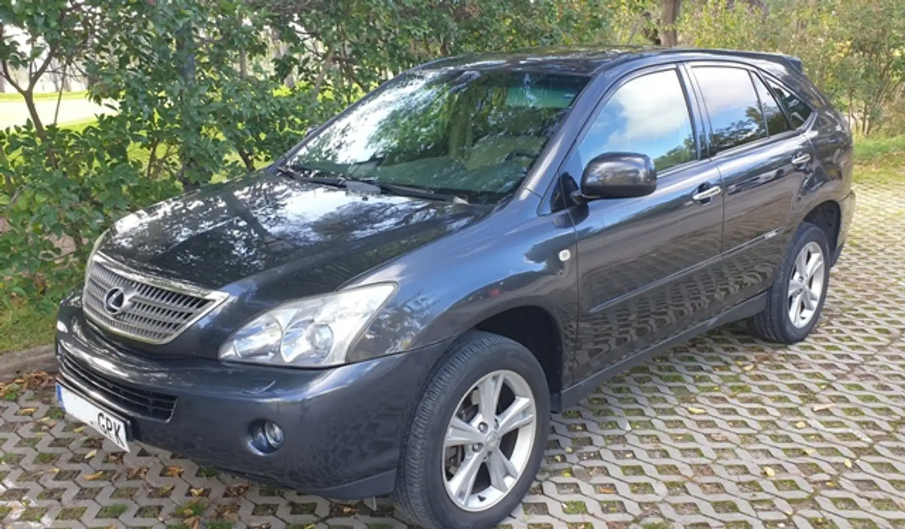 Lexus RX 400 400h President Modrá - 1