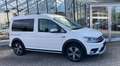 Volkswagen Caddy ALLTRACK 1.4 TSi DSG Navi Sitzheizung Alu Weiß - thumbnail 4