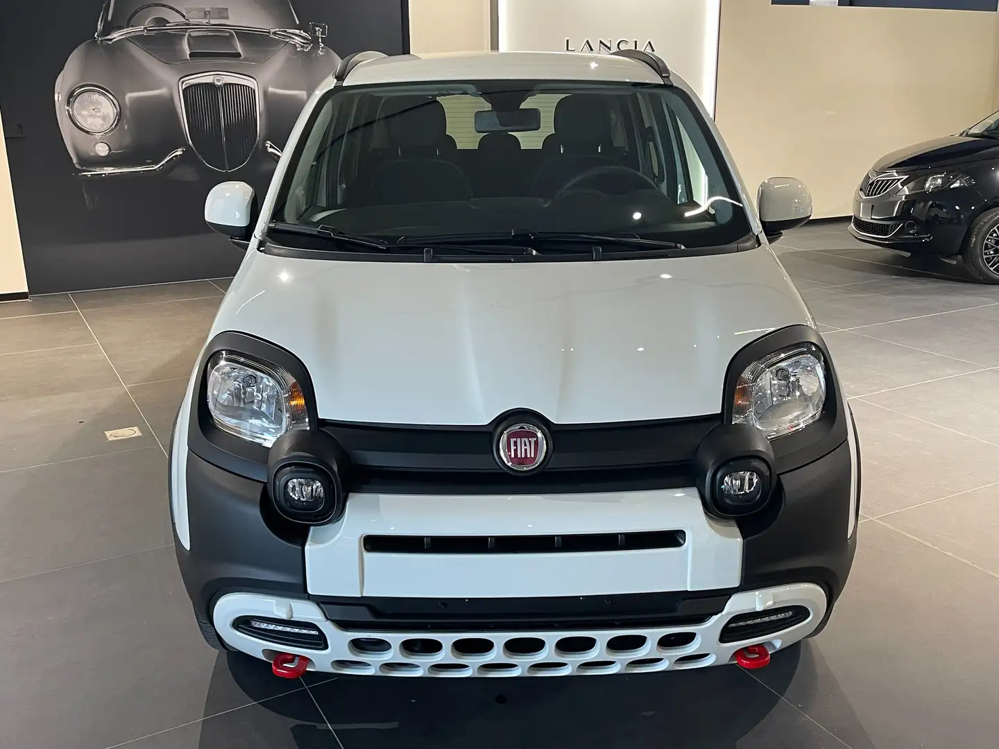 Fiat Panda 1.0 firefly hybrid Cross 70cv CON ROTTAMAZIONE Blanc - 2