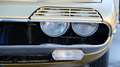 Alfa Romeo Montreal Gold - thumbnail 17
