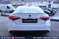 Alfa Romeo Giulia 2.0 Turbo 200CV AT8 Super Weiß - thumbnail 24