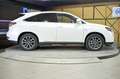 Lexus RX 450h Hybrid F Sport Blanco - thumbnail 22