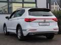 SEAT Tarraco 2.0 TDI Autom. Leder Standheizung 7Sitze Weiß - thumbnail 11