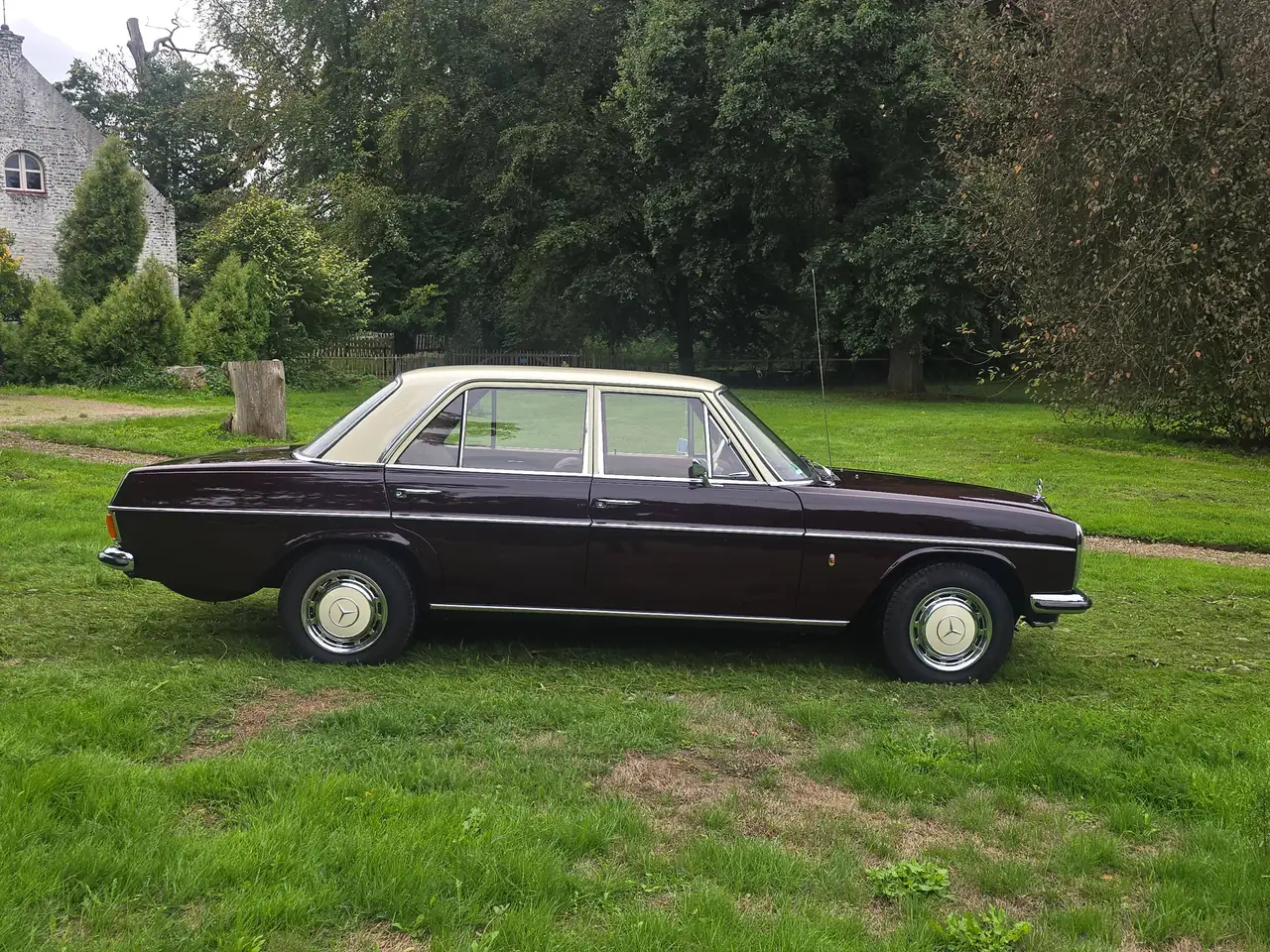 Mercedes-Benz 220D Strich-8, foto 6