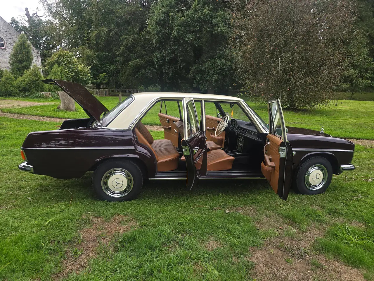 Mercedes-Benz 220D Strich-8, foto 7