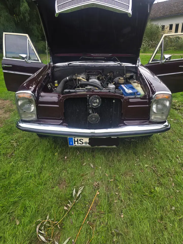 Mercedes-Benz 220D Strich-8, foto 10