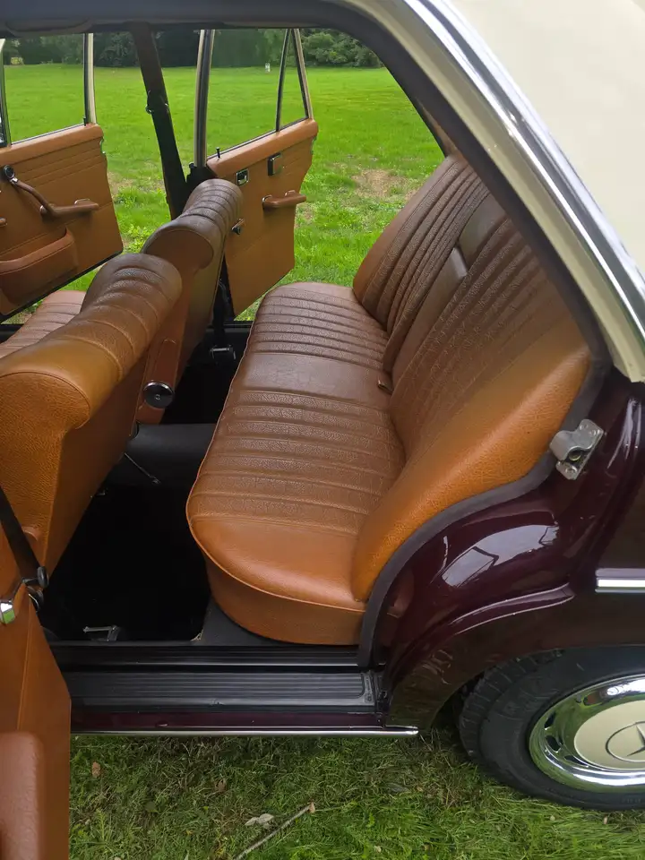 Mercedes-Benz 220D Strich-8, foto 12