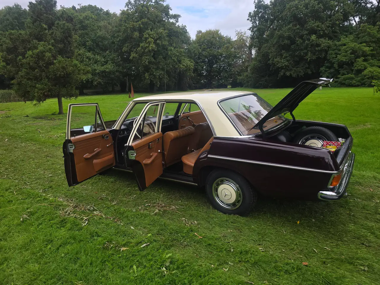 Mercedes-Benz 220D Strich-8, foto 8