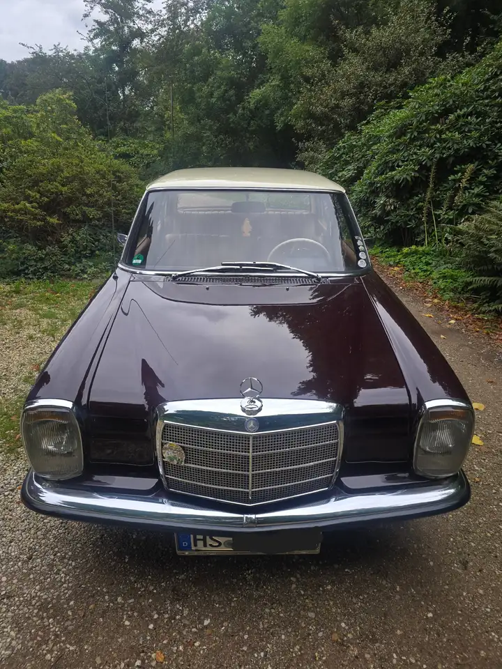 Mercedes-Benz 220D Strich-8, foto 2