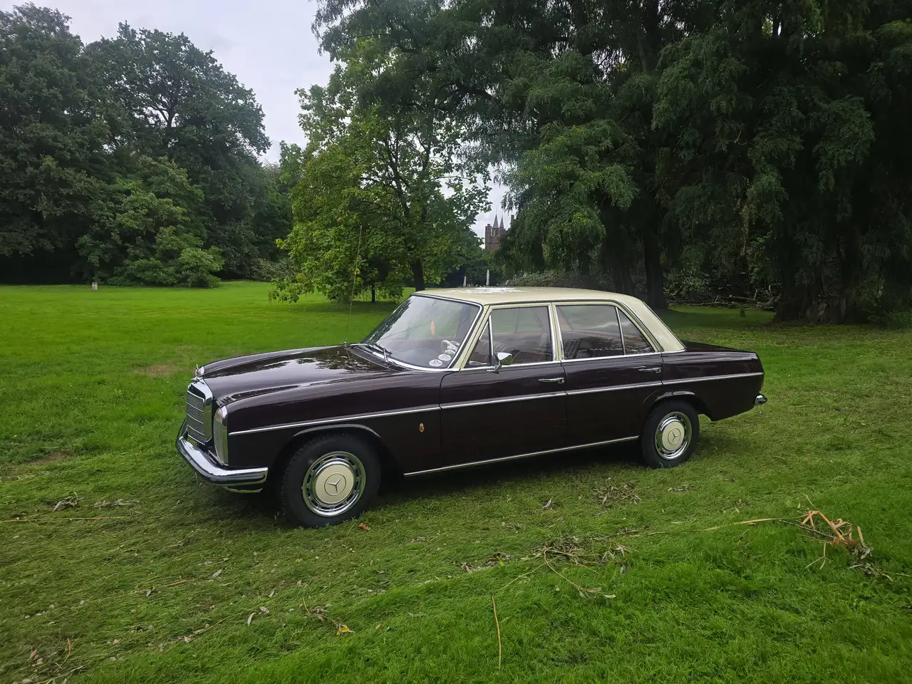 Mercedes-Benz 220D Strich-8, foto 5