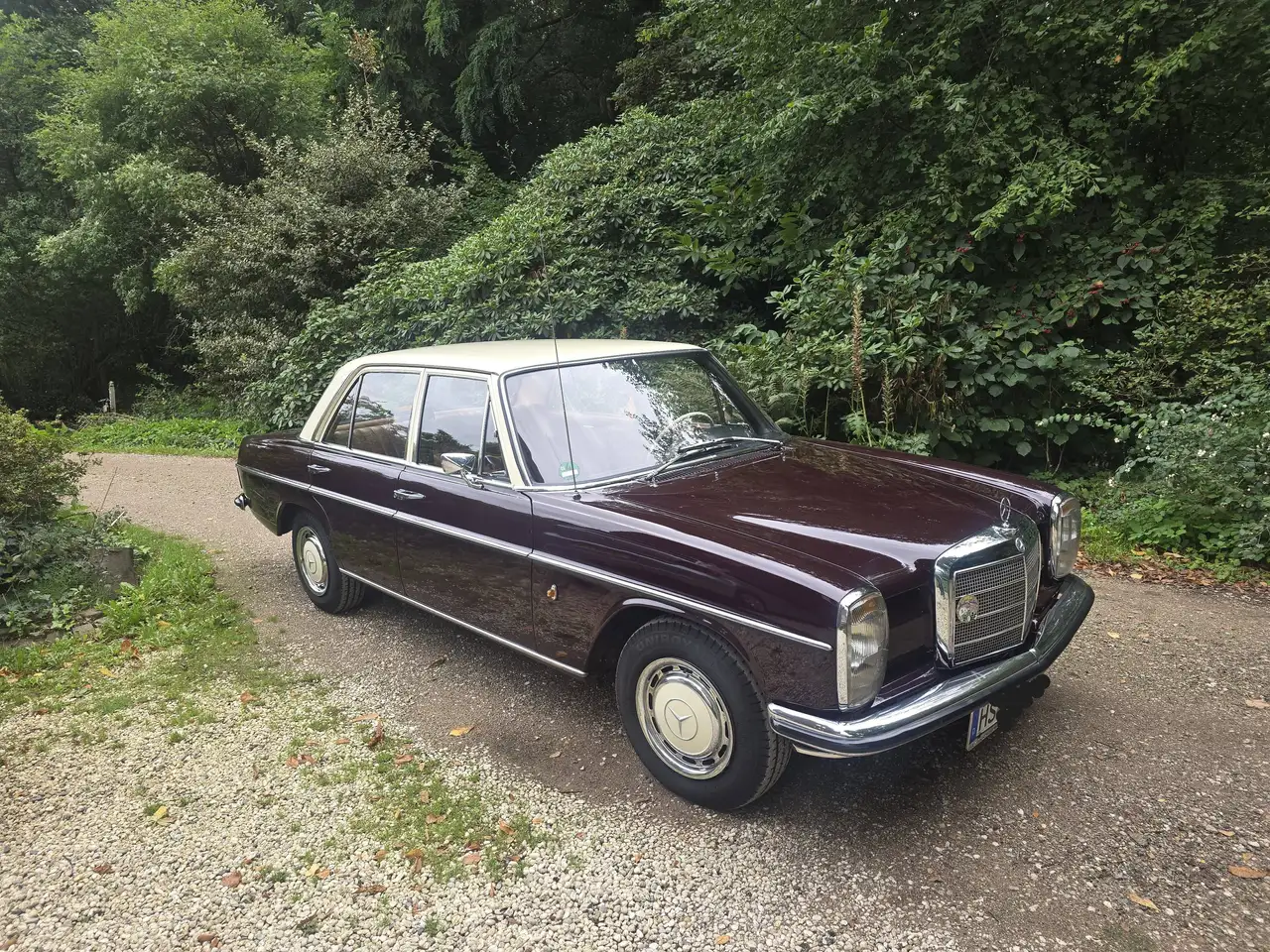 Mercedes-Benz 220D Strich-8, foto 4