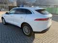 Jaguar F-Pace Pure Weiß - thumbnail 9