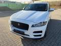 Jaguar F-Pace Pure Weiß - thumbnail 18