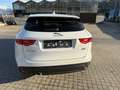 Jaguar F-Pace Pure Weiß - thumbnail 7