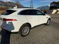 Jaguar F-Pace Pure Weiß - thumbnail 4