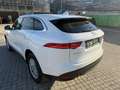 Jaguar F-Pace Pure Weiß - thumbnail 8