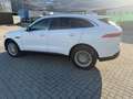 Jaguar F-Pace Pure Weiß - thumbnail 10