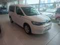 Volkswagen Caddy PIANALE RIBASSATO PER CARROZZINA - PREZZO + IVA Bianco - thumbnail 1